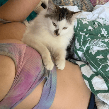 cosmic_kitty_cat - Fotoğraf 14