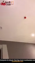 Tango Celine ifşa şampanya aşkı